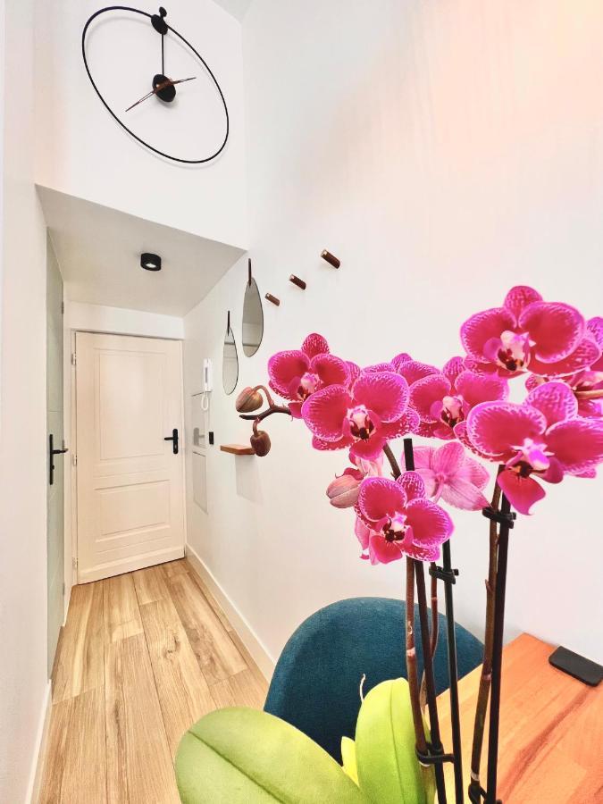 Duplex Le Gesu - Vieille Ville - Clim - Wifi Ницца Экстерьер фото